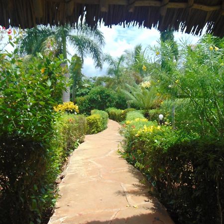 Villas Dora And Holly Diani Beach Extérieur photo