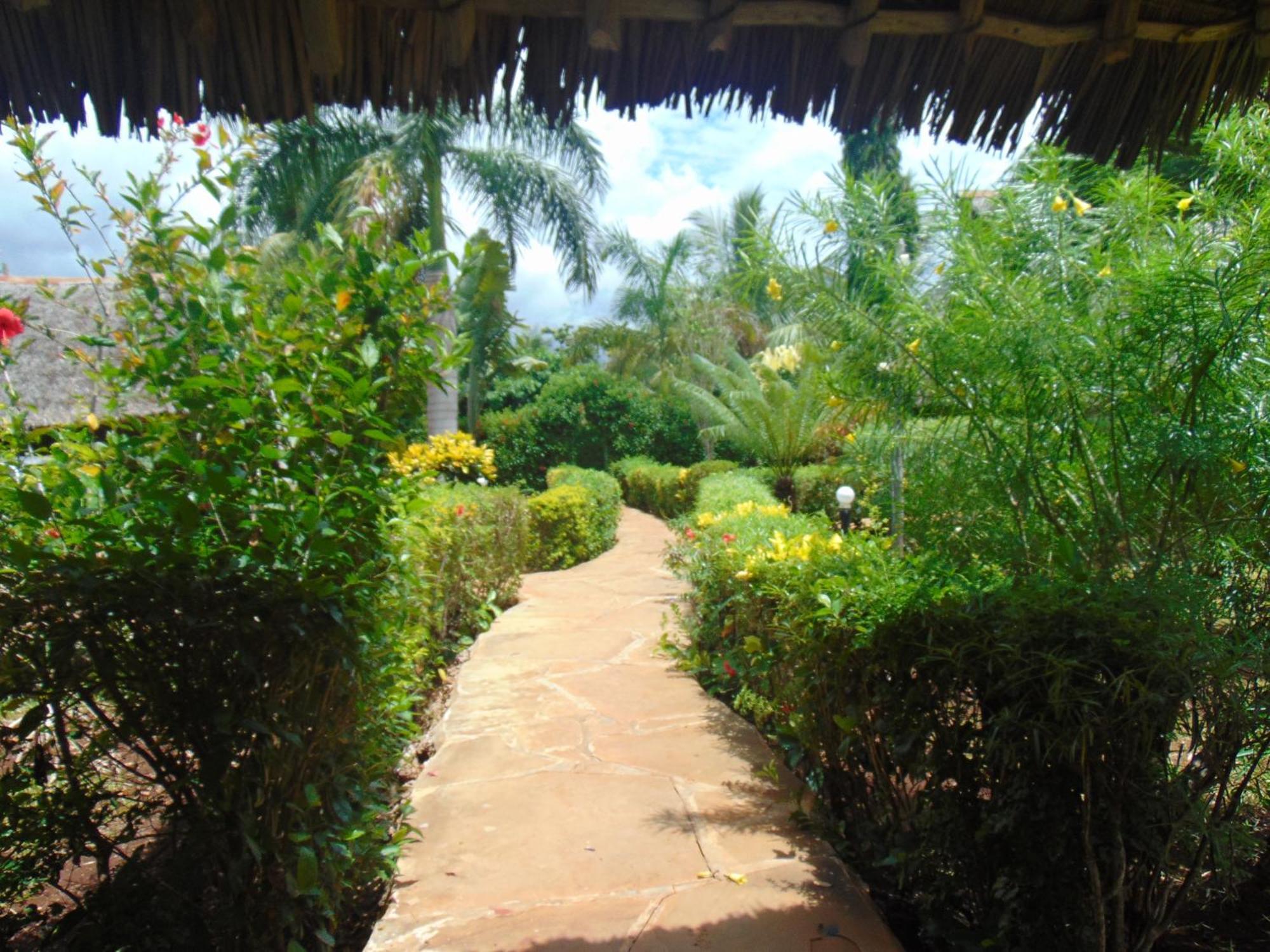 Villas Dora And Holly Diani Beach Extérieur photo