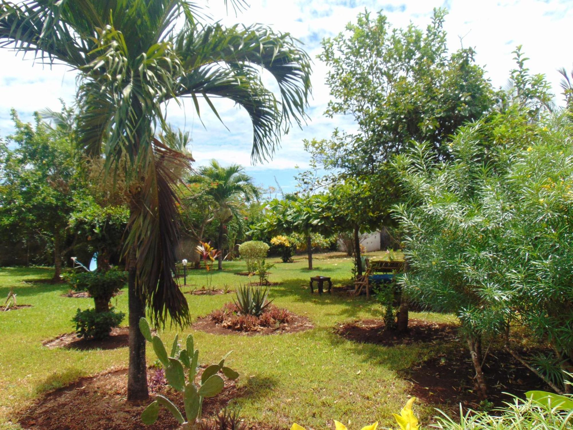 Villas Dora And Holly Diani Beach Extérieur photo